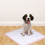 400 Pcs 60x60 cm Pet Puppy Toilet Training Pads Absorbent Lavender Scent
