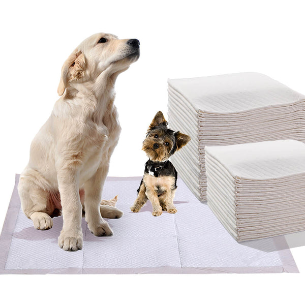 400 Pcs 60x60 cm Pet Puppy Dog Toilet Training Pads Absorbent Meadow Scent