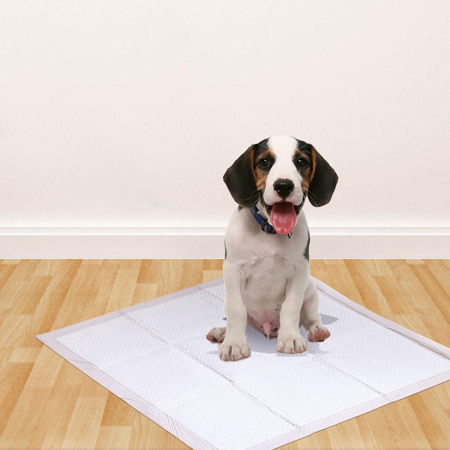 PaWz 50 Pcs 60x60 cm Pet Puppy Dog Toilet Training Pads Absorbent Meadow Scent