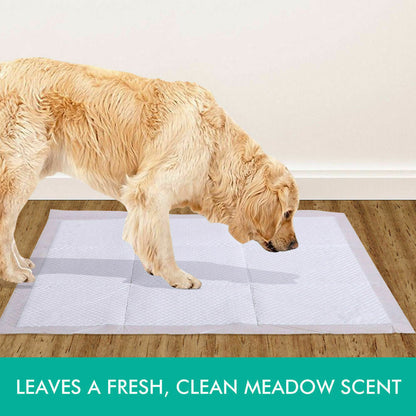PaWz 50 Pcs 60x60 cm Pet Puppy Dog Toilet Training Pads Absorbent Meadow Scent