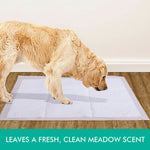 50 Pcs 60x60 cm Pet Puppy Dog Toilet Training Pads Absorbent Meadow Scent