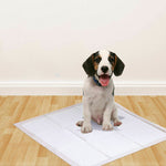 400 Pcs 60x60 cm Pet Puppy Dog Toilet Training Pads Absorbent Meadow Scent