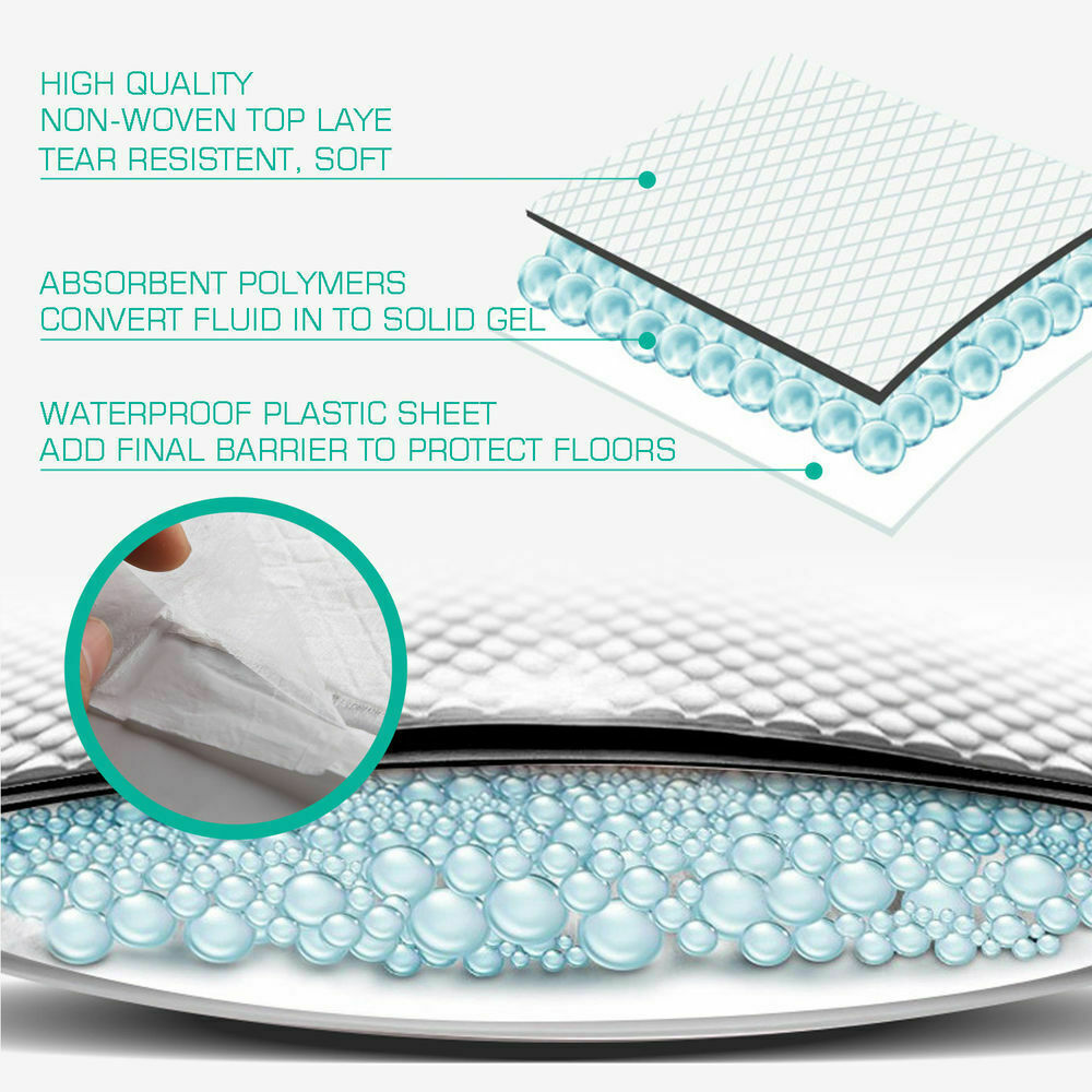 PaWz 50 Pcs 60x60 cm Pet Puppy Dog Toilet Training Pads Absorbent Meadow Scent