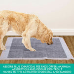 200 Pcs 60x60cm Charcoal Pet Puppy Dog Toilet Training Pads Ultra Absorbent