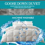 700GSM All Season Goose Down Feather Filling Duvet in King Single Size