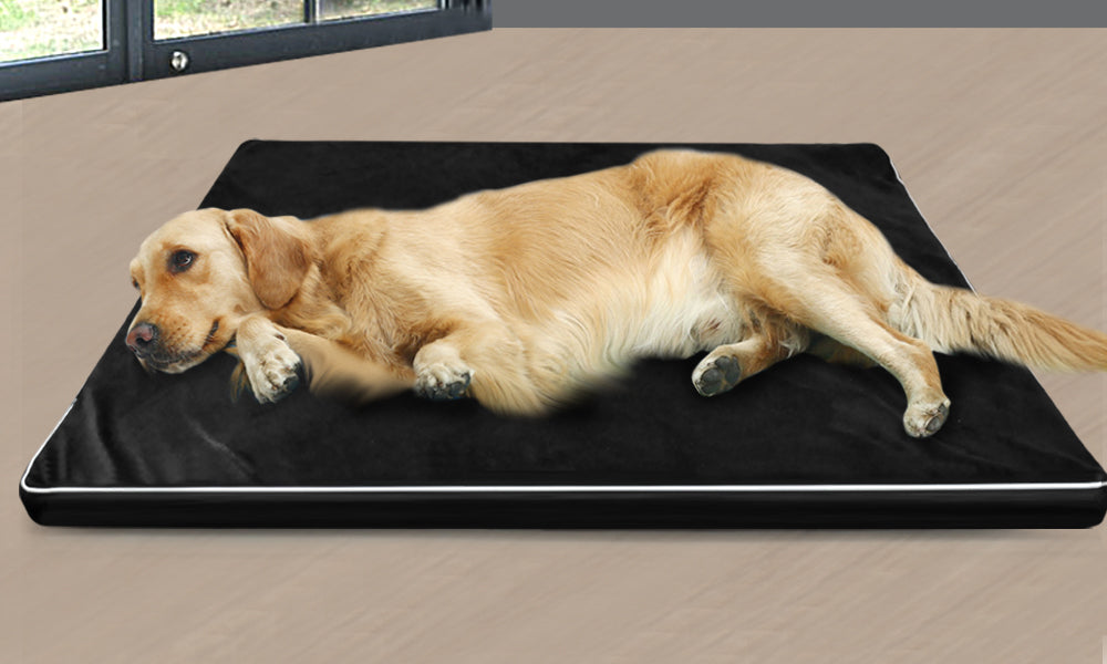 Pet Bed Dog Beds Cushion Cover Mat Soft Calming Pillow Mat Puppy Bedding5cm