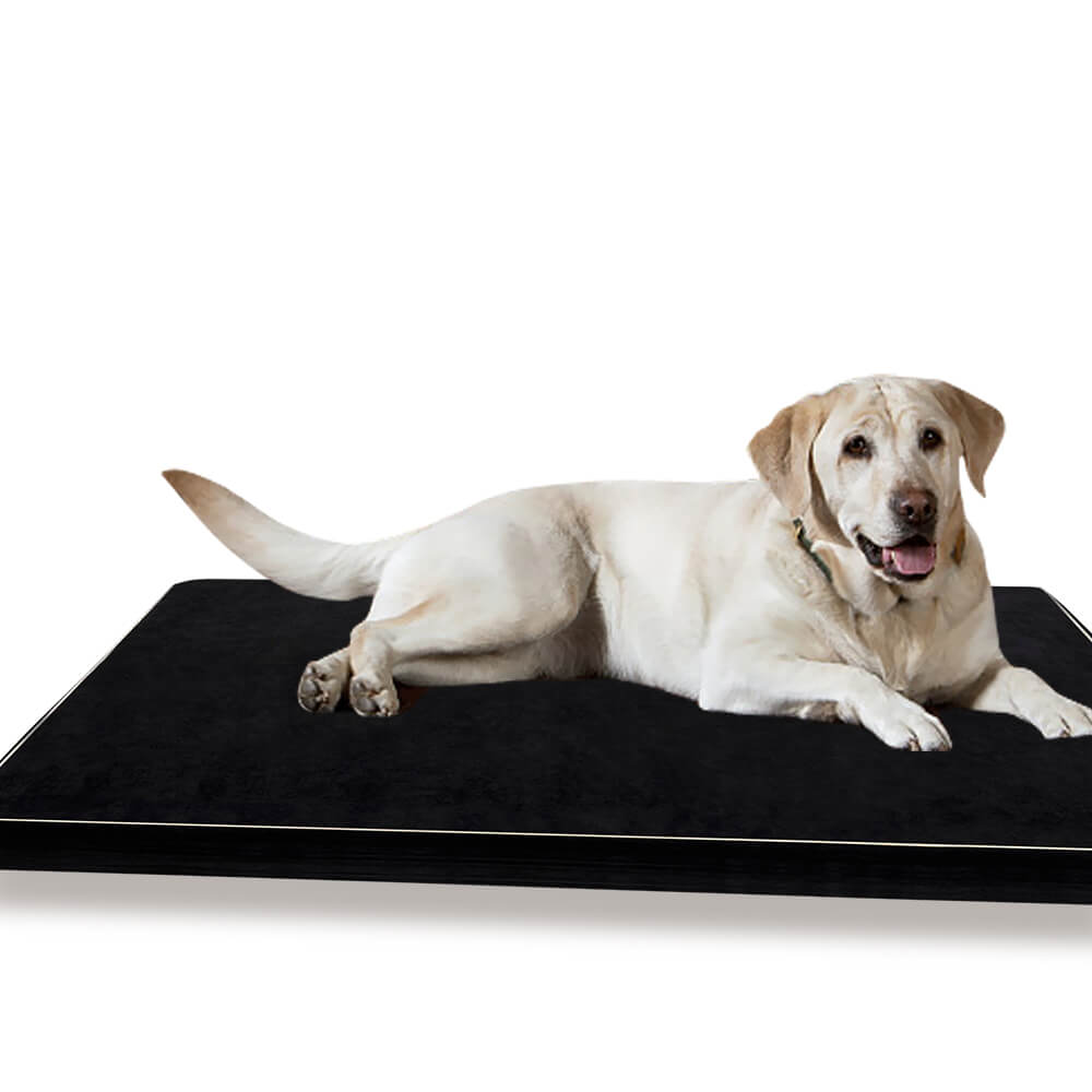 5CM Memory Foam Orthopaedic Pet Bed Dog Puppy Mat Cat Pad Cushion XL