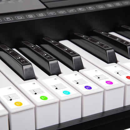 61 Keys Electronic Led Keyboard Piano With Stand - Black