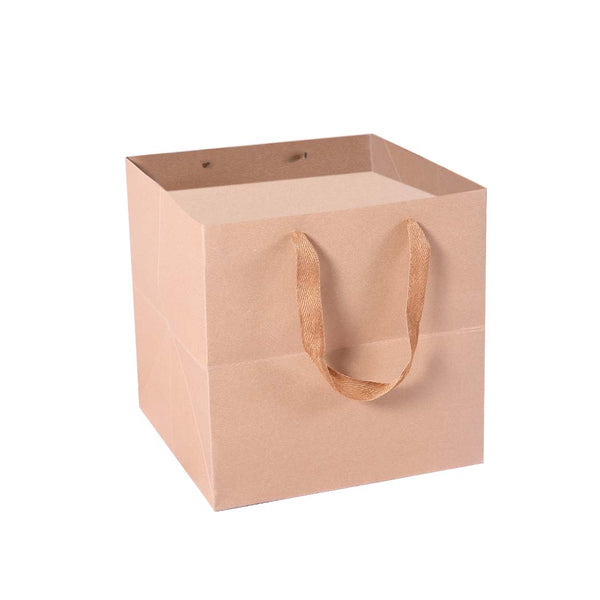  50x Brown Paper Bag with Handles