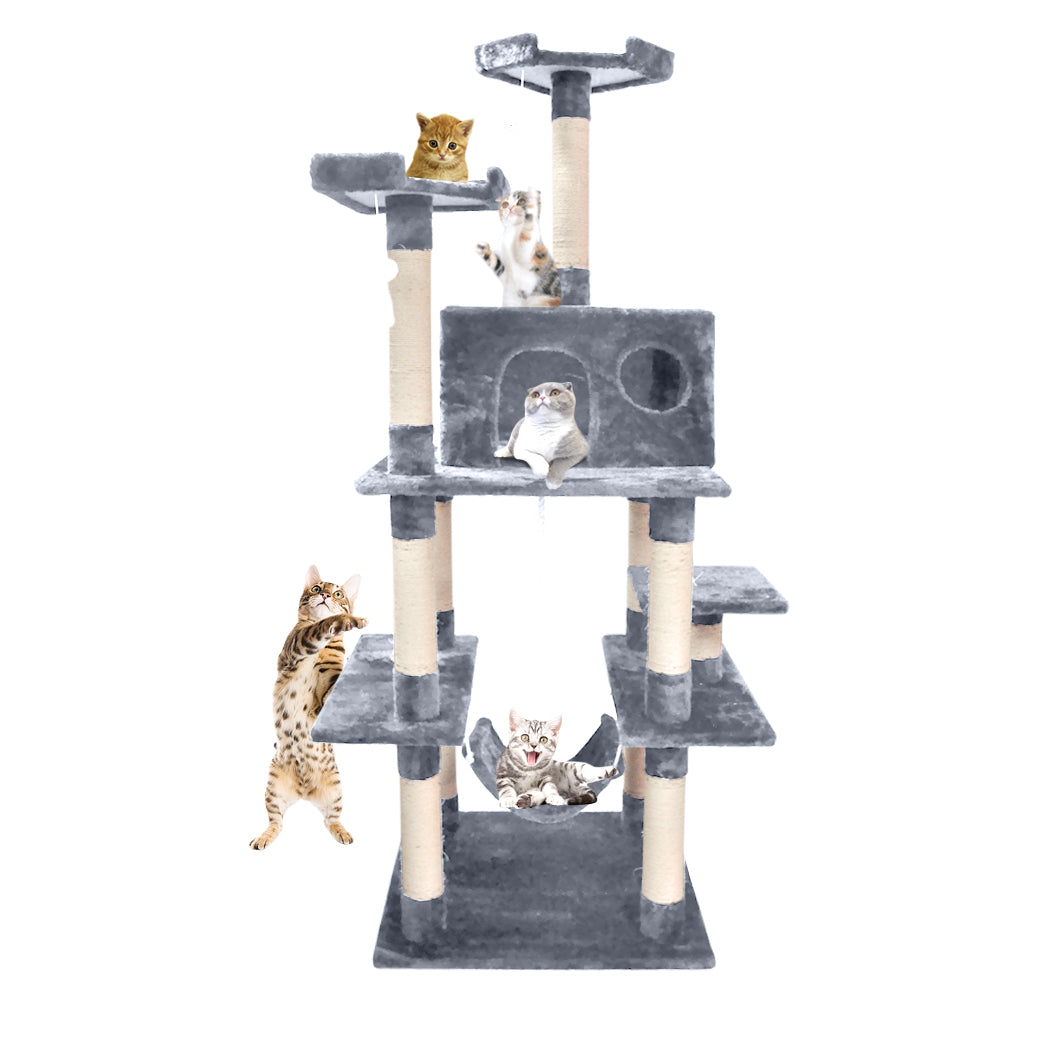 1.83M Cat Scratching Post Tree House 
