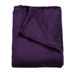 320GSM 220x240cm Ultra Soft Mink Blanket Warm Throw in Aubergine Colour