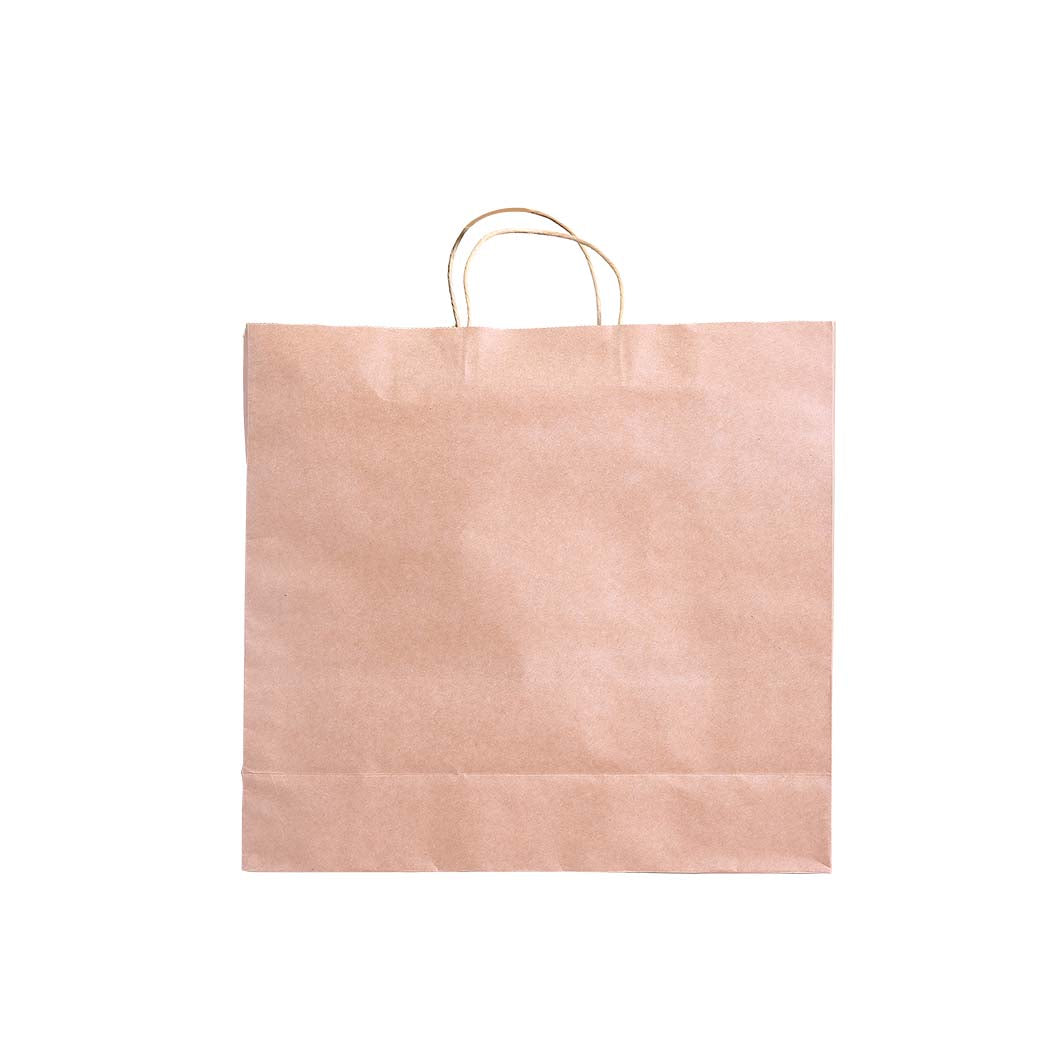 50x Brown Paper Bag Kraft Eco Recyclable