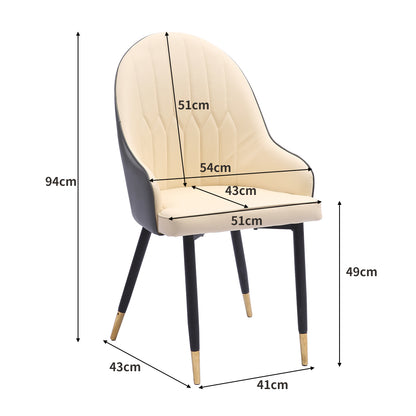 2x Dining Chairs Kitchen Steel Chair