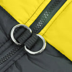 Dog Winter Jacket Padded Pet Clothes Windbreaker Vest Coat 2XL Orange