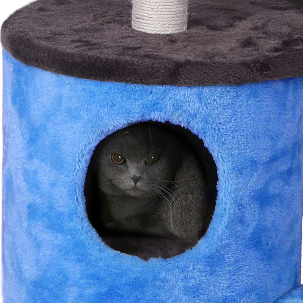 Play Pet Activity Kitty Bed-Blue