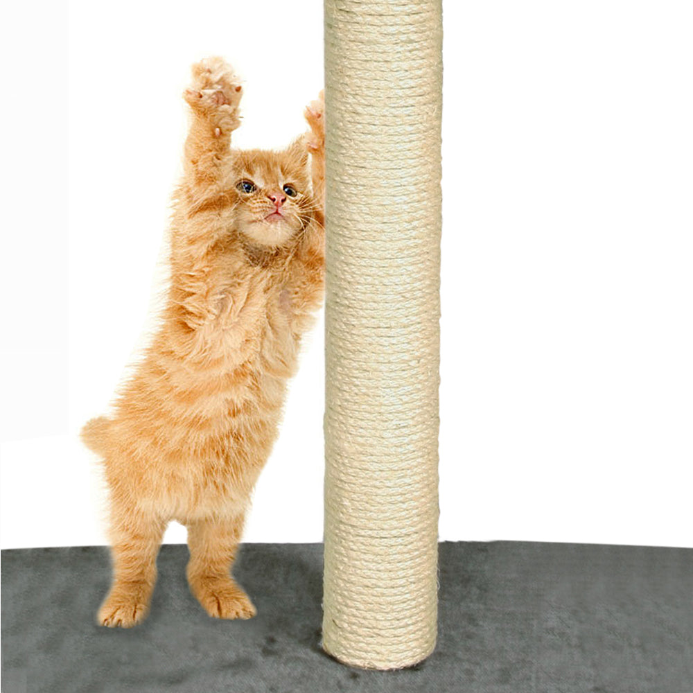 Pet Cat Tree Scratching Post Scratcher Trees Pole Gym Condo Furniture Wood
