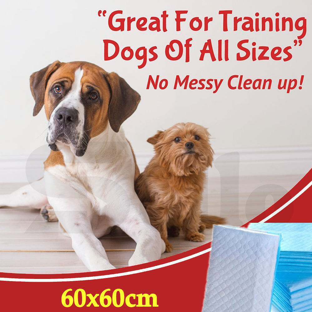 100 Pcs 60x60cm Ultra Absorbent Puppy Pet Dog Cat Toilet Training Pads Blue