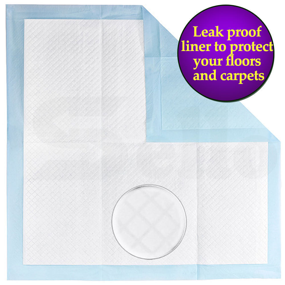 100 Pcs 60x60cm Ultra Absorbent Puppy Pet Dog Cat Toilet Training Pads Blue