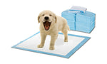 400pcs 60x60cm Puppy Pet Dog Indoor Cat Toilet Training Pads Absorbent New