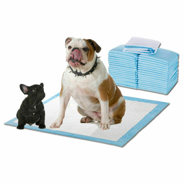  400pcs 60x60cm Puppy Pet Dog Indoor Cat Toilet Training Pads Absorbent New