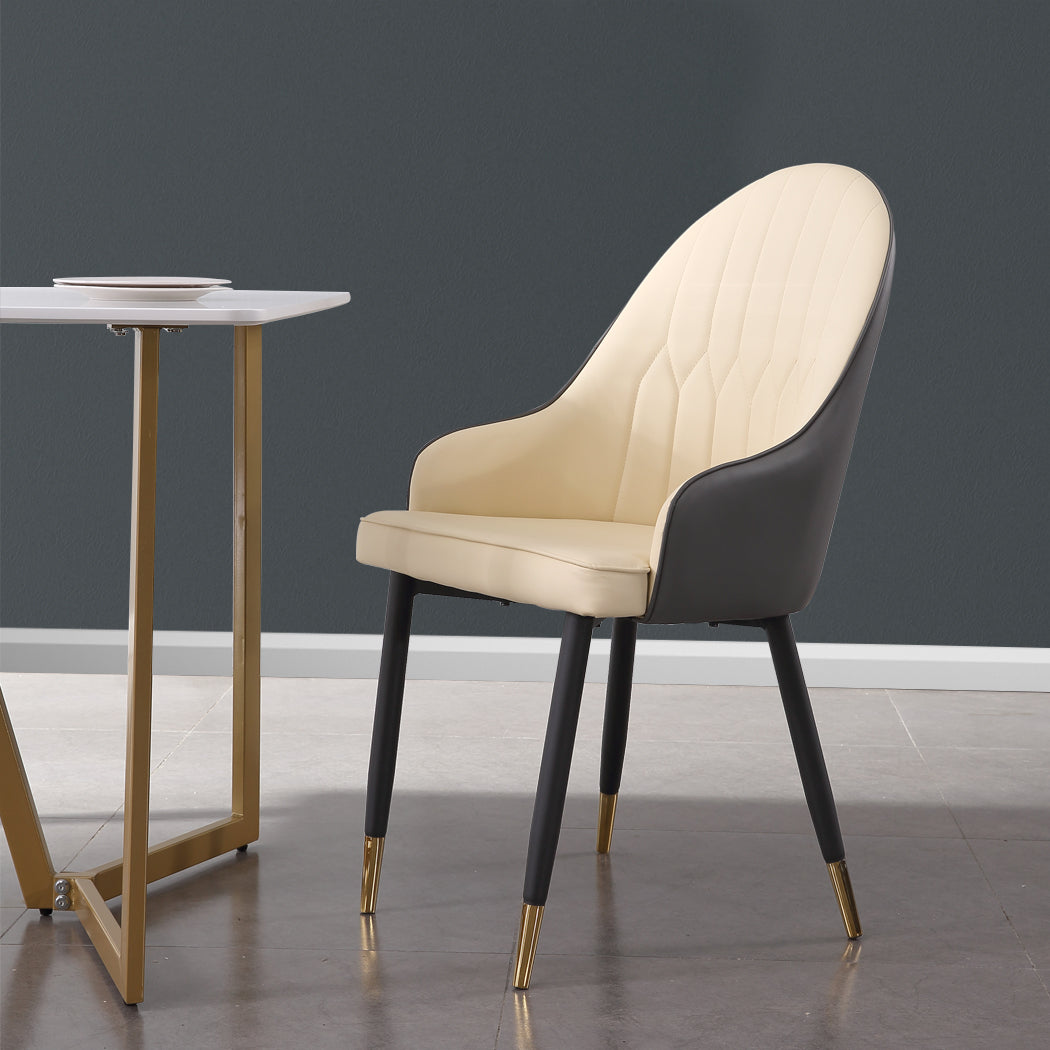 2x Dining Chairs Kitchen Steel Chair