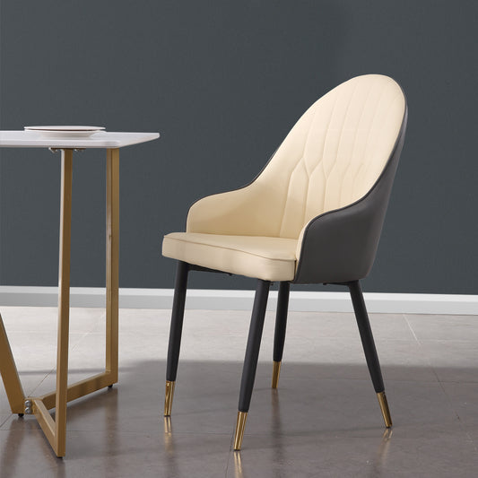 2x Dining Chairs Kitchen Steel Chair
