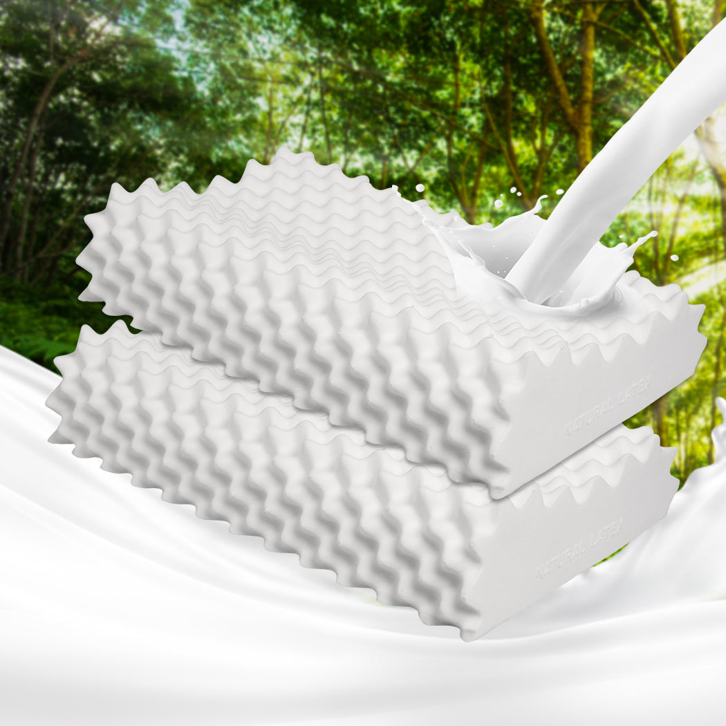2x Natural Latex Memory Down Pillow Removable Cover