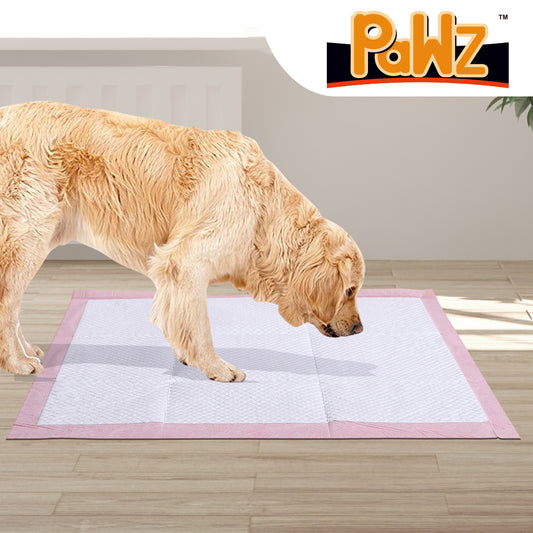 Pet Training Pads 50Pcs