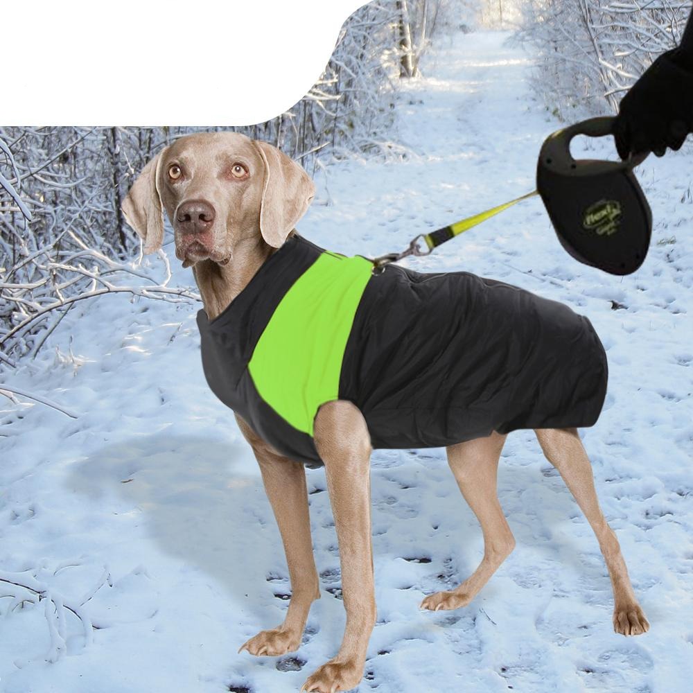 PaWz Dog Winter Jacket Padded Waterproof Pet Clothes Windbreaker Vest 3XL Green