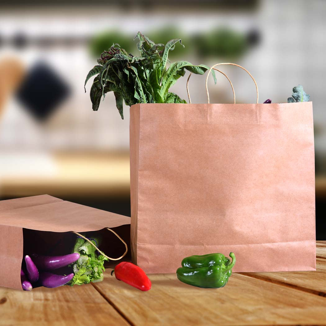50x Brown Paper Bag Kraft Eco Recyclable