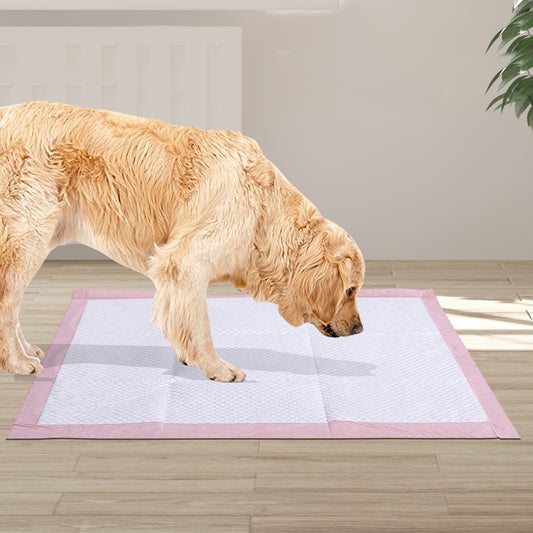 Pet Training Pads 100Pcs