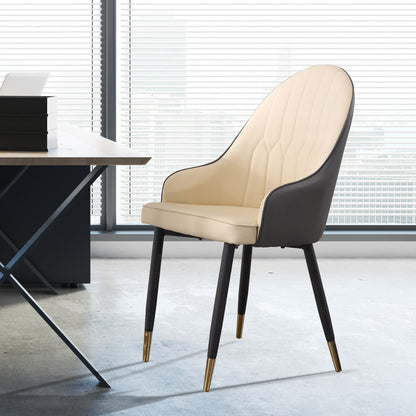 2x Dining Chairs Kitchen Steel Chair