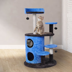 Play Pet Activity Kitty Bed-Blue