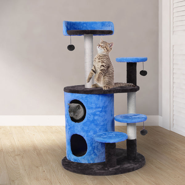  Play Pet Activity Kitty Bed-Blue