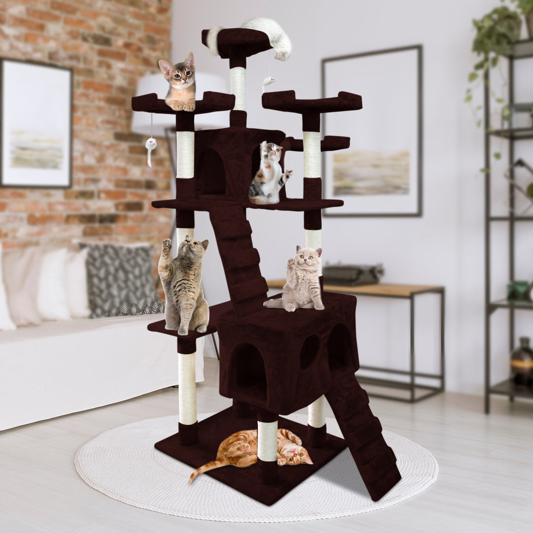 1.8M Cat Scratching Post Tree -Dark Brown