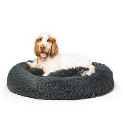 "Nap Time" Calming Dog Bed - Medium