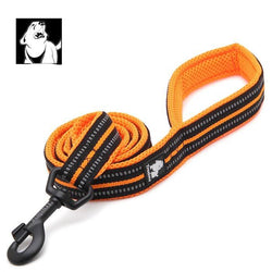 Reflective Pet Leash 2 meters orange