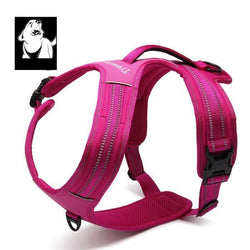 Reflective Heavy Duty Harness Pink
