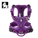High Density NYLON Pull Harness Purple