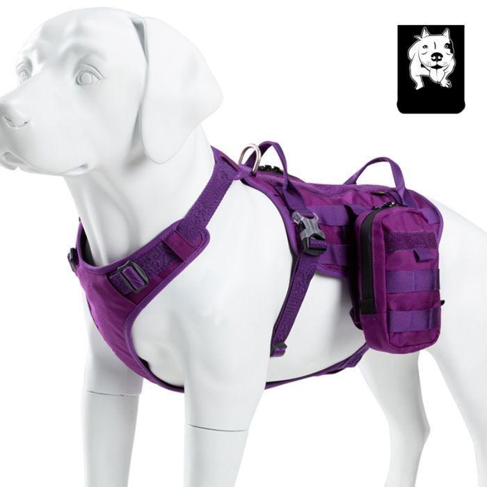 Whinhyepet Military Harness Purple