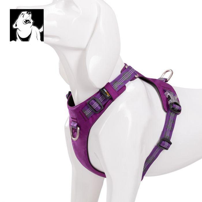 Lightweight 3M reflective Harness Purple