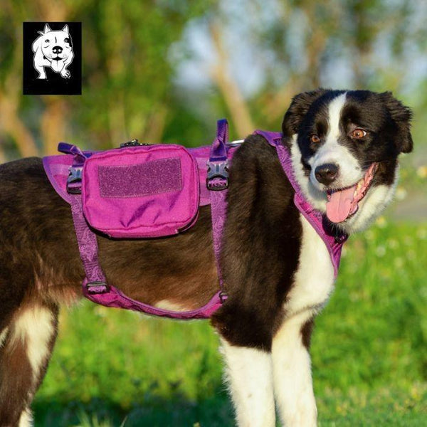  Whinhyepet Military Harness Purple