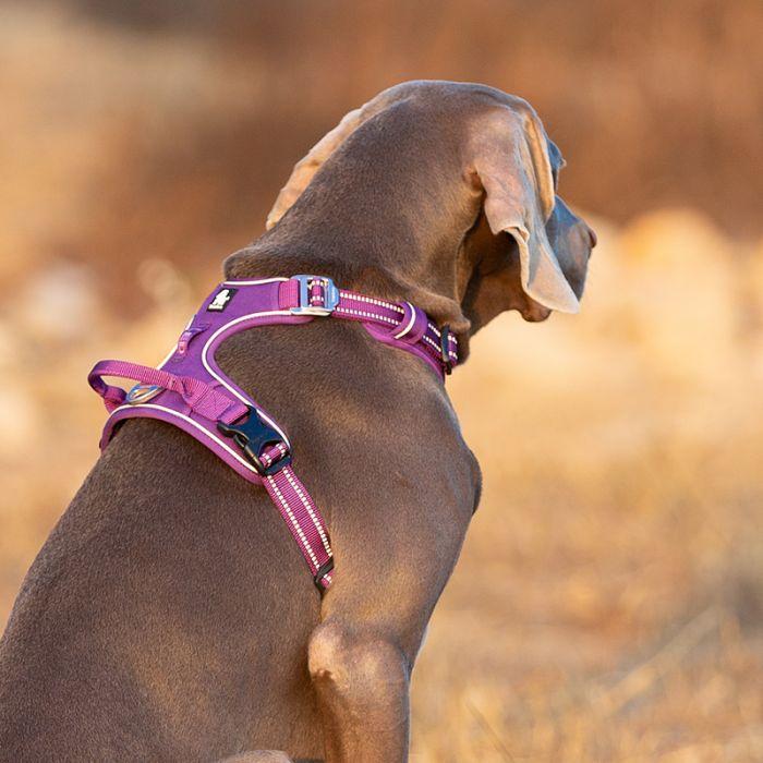 High Density NYLON Pull Harness Purple