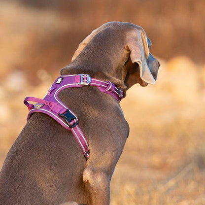 High Density NYLON Pull Harness Purple