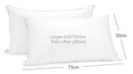 Duck Down Feather Pillow Twin Set - 1.3kg