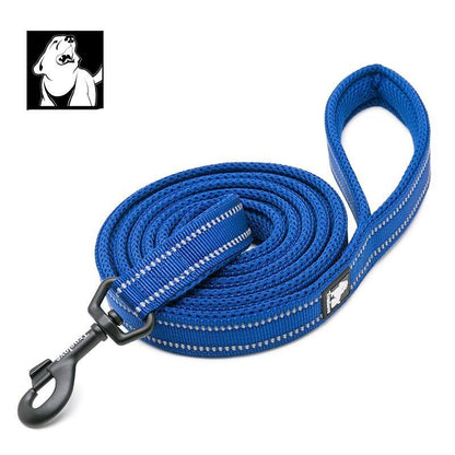Reflective Pet Leash 2 meters Royal Blue
