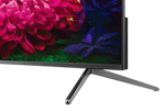 TCL  55