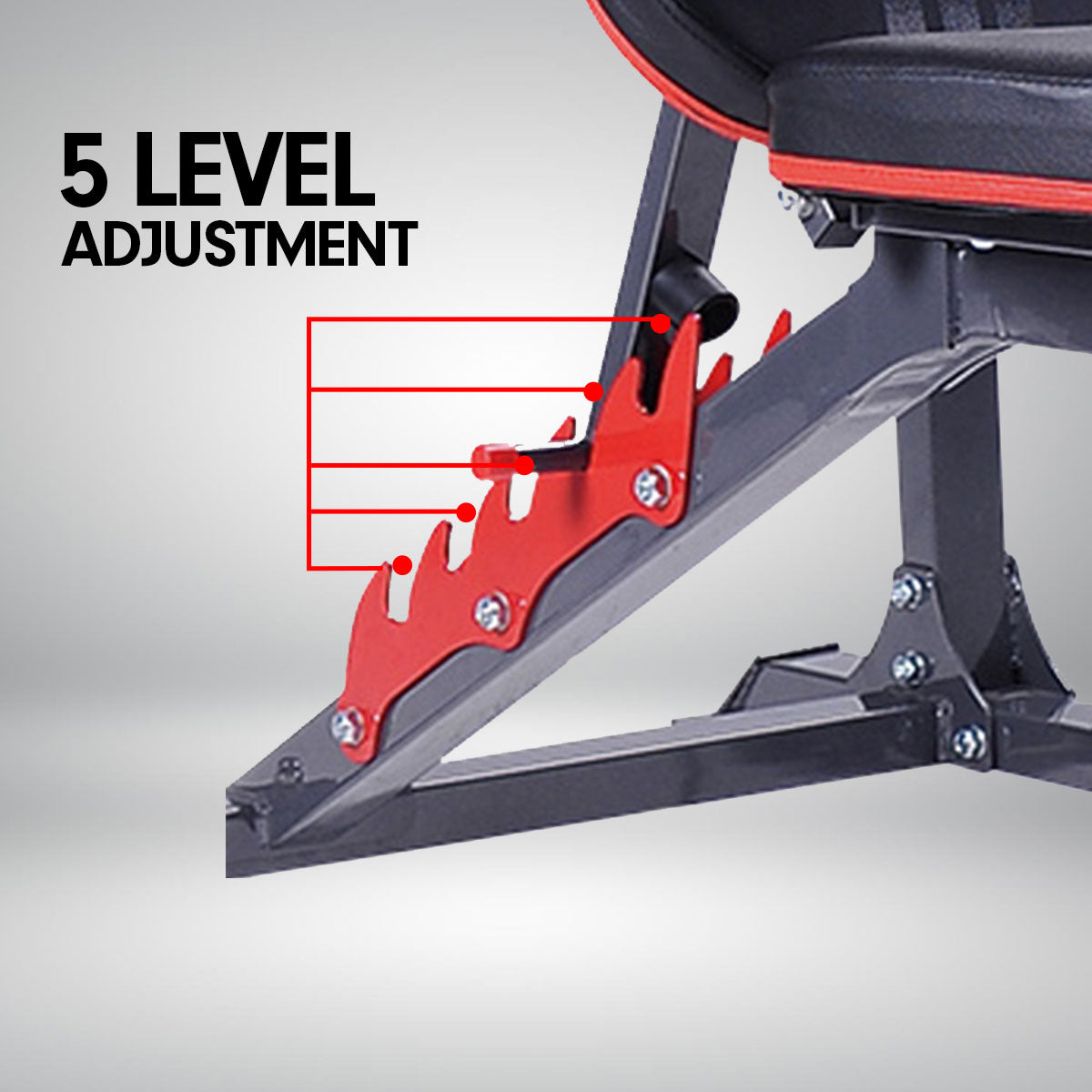 Powertrain Home Gym Bench Press Incline Decline Preachers Curl